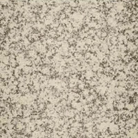 Close-up view of a speckled stone surface with cream, beige, black, and gray tones.