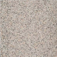 Close-up of a speckled granite surface with gray, black, and beige tones.