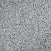 Close-up of a light gray stone surface with dark speckles.