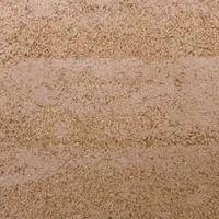 Textured surface of soft, beige-colored stone with fine grains.